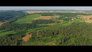 The vineyard of Bourgogne seen from the sky – Côte et Hautes Côtes de Nuits [upl. by Troc]