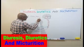 Diuresis Diuretics and Micturition [upl. by Joelly]