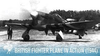 British RAF Hawker Tempest Fighter Plane in Action 1944  British Pathé [upl. by Adnahcir579]