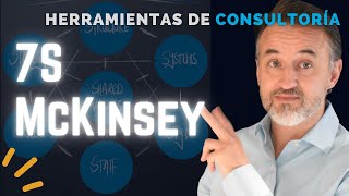 7S de McKinsey [upl. by Sessilu271]