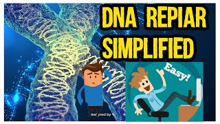 DNA Repair mechanism quick and easy in UrduHindi [upl. by Adahs]