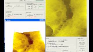 Hacat Cell Cutting Using AFM [upl. by Annaili133]