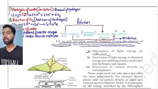 Life processes  Nutrition  Autotrophic Nutrition Class 10th Biology NCERT Photosynthesis [upl. by Etnovad]