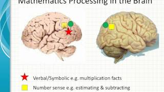 Is Dyscalculia Real [upl. by Johen]