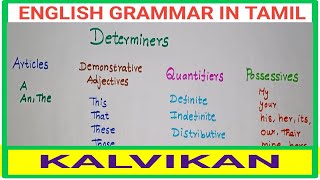 Determiners English Grammar In Tamil  4 Types of Determiners  Kalvikan [upl. by Celia]