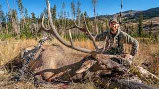 WYOMING BULL with a BOW  CRAZY Public Land Elk Hunt [upl. by Clauddetta363]