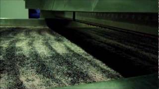 Mechanical treaders robotic lagares for making Port wine [upl. by Lledniw294]