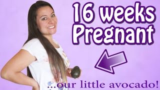 FEELING YOUR BABY MOVE FOR THE FIRST TIME 16 WEEKS PREGNANT [upl. by Notfa888]