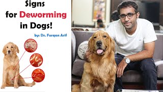 Signs that your dog has worms By Dr Furqan Arif [upl. by Sinegra]