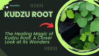 Exploring Kudzu Root A Natural Remedy for Addiction [upl. by Nalod]