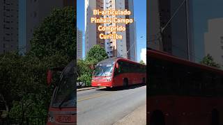 Linha Pinhais Campo Comprido musica music guitar motorhomer curitiba onibus [upl. by Anitsirc]