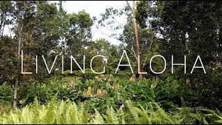 Living Aloha ep10 Makuala Ooma Trail [upl. by Anatnom]