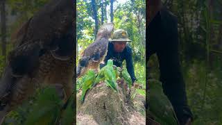 A man see eagle and parrot on a small hill at the forest part 04 aewaite oldmanofthemountain [upl. by Nyleuqcaj231]