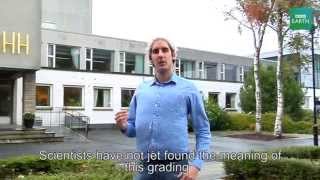 Student at NHH Exams explained by quotDavid Attenboroughquot [upl. by Biebel]