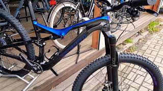 Specialized Stumpjumper Comp Carbon 29 6Fattie Gloss Carbon  Chameleon 2018 [upl. by Anauqahs]