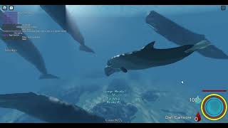 Livyatan gameplay  Oceanic [upl. by Idnaj]