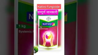 Nativo fungicide shorts  Nativo bayer fungicide use [upl. by Kolk891]