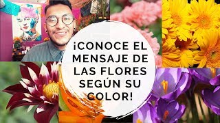 Significado de las flores según su color [upl. by Ulda766]