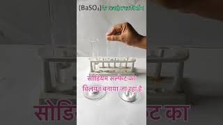 Formation of Barium Sulphate ppt Hindi Medium double displacement reaction [upl. by Arezzini]