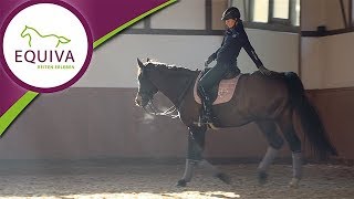 Studieren und Reitsport  Funktioniert das [upl. by Arod]