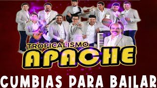 Tropicalisimo Apache Mix 2024  Cumbias Para Bailar [upl. by Grimbald803]