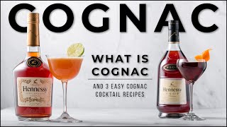 What is Cognac with Hennessy amp 3 Delicious Cognac cocktails [upl. by Eninahs184]