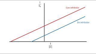 Cinética Enzimática  Inhibición competitiva [upl. by Cooperman]