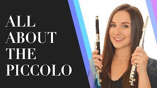 All About The Piccolo  Best Piccolos for Beginners  How To Choose A Piccolo [upl. by Ronald7]