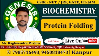 Protein degradation and chaperones [upl. by Nivi]