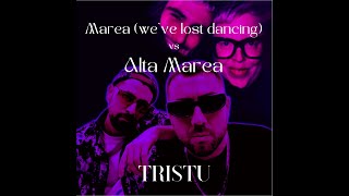 Alta Marea weve lost dancing  Fred again ft The Blessed Madonna vs Frah Quintale amp Coez [upl. by Gautious]