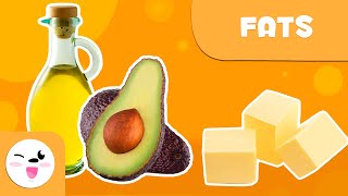 What are fats  Healthy Eating for Kids [upl. by Ecyor]