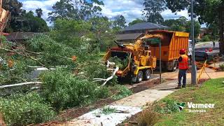 Vermeer BC2100XL wood chipper gum tree Sydney Australia [upl. by Alverta]