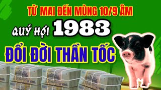 Tử vi tuổi Quý Hợi 1983 nhận thấy Từ mai đến 109 âm lịch tiền tài rực rỡ đổi đời thần tốc [upl. by Mireielle675]