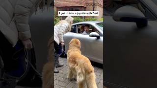 It started so well😳goldenretriever 🧼Freshness without fuss ​⁠earthrated earthratedpartner [upl. by Aerdnat413]