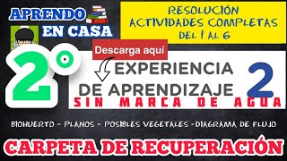 📐RESOLUCIÓN CARPETA DE RECUPERACION  EXPERIENCIA 2  2DO SECUNDARIA  COMPLETA ✏️ [upl. by Rudman466]