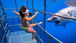 5 YR OLD Scuba Dives with GREAT WHITE SHARKS in Mexico [upl. by Bein]