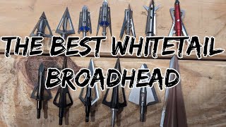 The Best Broadhead for Whitetail Hunting [upl. by Jaynes798]