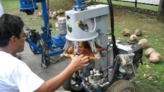 Coconut Dehusking Machine  Diesel Engine Type [upl. by Hilde]