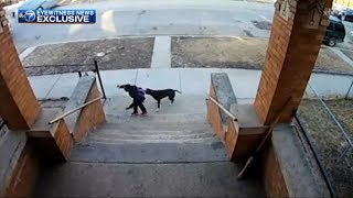 Teen with broom saves children from dog attack in Englewood [upl. by Baudin500]