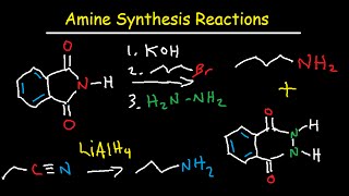 Amine Synthesis Reactions Organic Chemistry  Summary amp Practice Problems [upl. by Warila13]