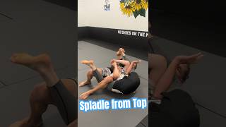 Spladle from top position grappling wrestling ufc mma jiujitsu bjj nogi spladle martialarts [upl. by Kaplan]