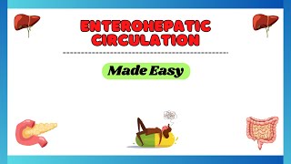 Enterohepatic circulation Enterohepatic recycling physiology made easy pharmacology made easy [upl. by Lexis250]