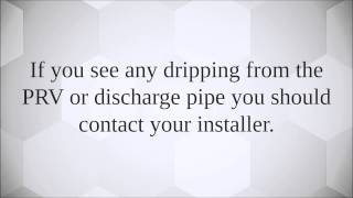 Gas Boiler Problems  Your PRV is Dripping Pressure Release Valve [upl. by Siesser]