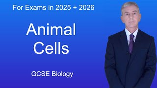 GCSE Biology Revision quotAnimal Cellsquot [upl. by Aicylla444]