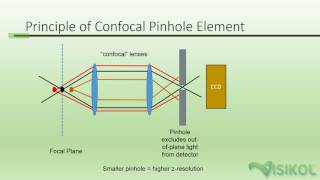 Confocal Microscopy Tutorial [upl. by Ahsitel]