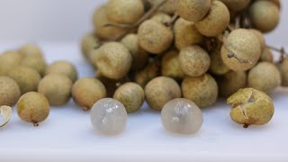 How to eat Longan fruit  What does Longan Taste like [upl. by Eerized986]