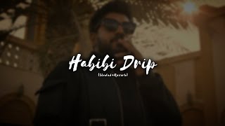 Habibi Drip SlowedReverb  Dabzee  Ribin Richard  Nivin Pauly  Illuvibes [upl. by Aika439]