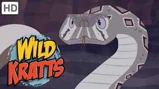 Wild Kratts 🦡🐍 Out for the Hunt  Kids Videos [upl. by Nevaed]