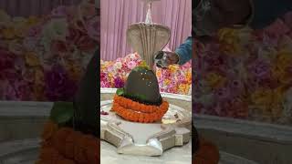 Shankar Shiv Bole Umapati Mahadev Song  shorts jhandewaladevimandir sawan [upl. by Herring641]