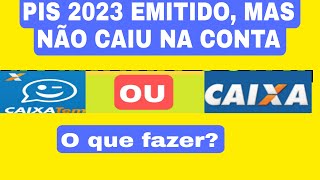 PIS 2023 NÃO CAIU NA CONTA DA CAIXA O que fazer [upl. by Vaenfila888]